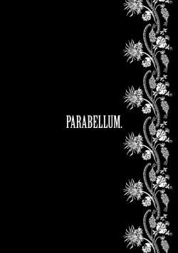 Page 3 of Parabellum