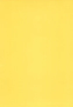 Page 4 of Fun House 11th SNAP SHOT