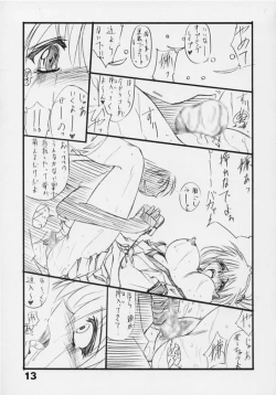Page 13 of Tukimi no Sato Ver:5,00