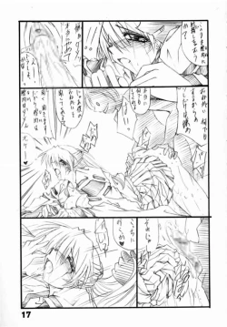 Page 17 of Tukimi no Sato Ver:5,00