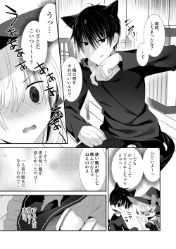 Page 12 of ポンコツ魔女とイジワルな猫。