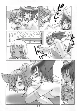 Page 12 of Ibarinbou Chihuahua