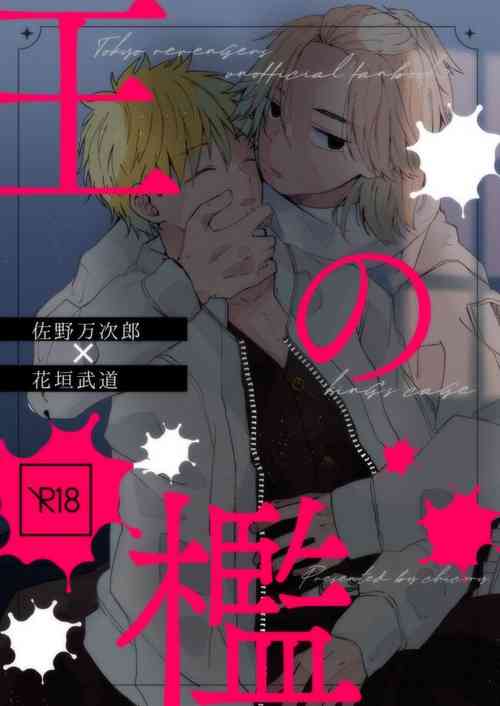 Download King's Cage