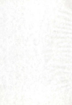 Page 3 of Reijou Shigan 2