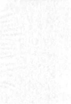 Page 4 of Reijou Shigan 2