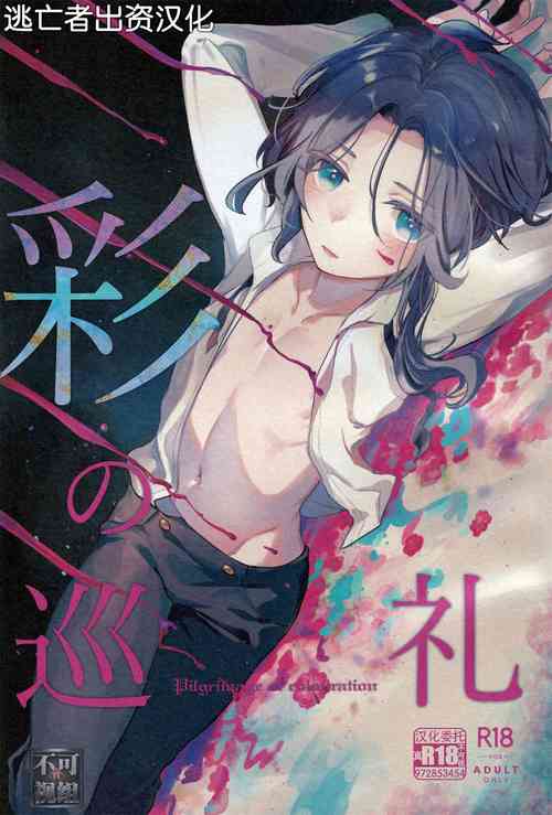 Download 彩の巡礼