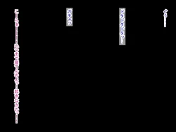 Page 2 of 幼なじみがツンからデレるまで