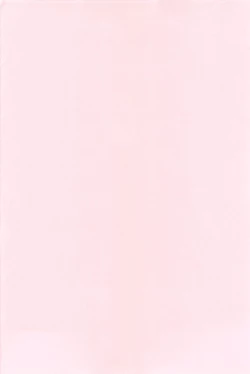 Page 4 of マイナスの距離