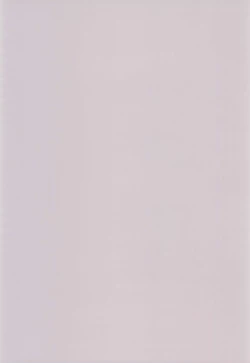 Page 25 of Torawareta Ojou-sama