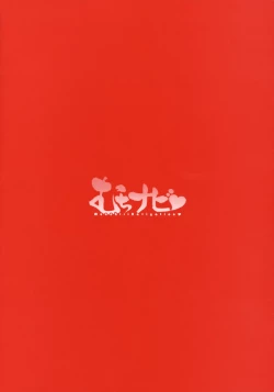 Page 4 of Muchi Navi - Mucchiri Navigation