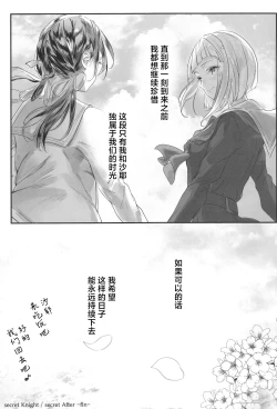 Page 20 of secret after（虹之星汉化组）