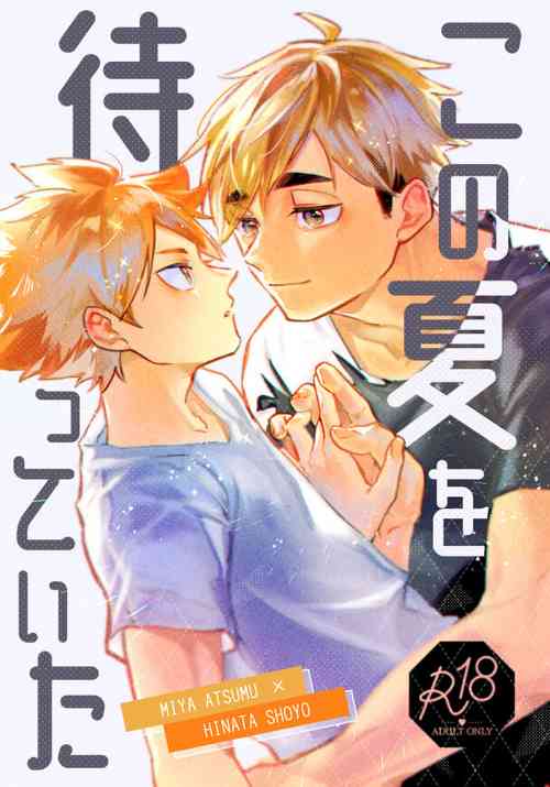 Download この夏を待っていた