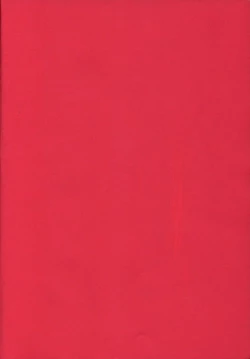 Page 2 of Umineko Ga Nakanai