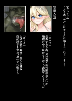 Page 2 of エルフさんが発情オークに出会ったら…