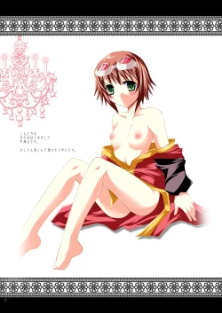 Page 4 of Alstromeria