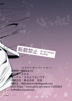 Page 44 of Energy Overflow