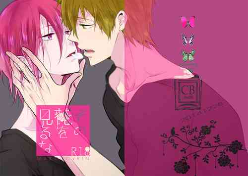 Download Sono hanawomiru na