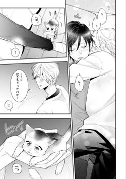 Page 33 of High Spec Danshi ni Natsukareteimasu - CHANO Mameko