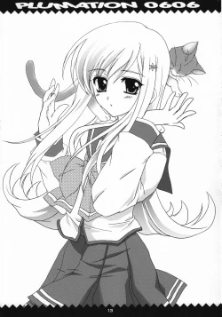 Page 14 of PLUMATION 0606