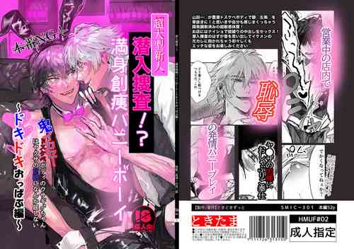 Download Sennyu sousa!? Manshin soui Bunny Boy