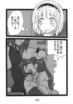 Page 23 of (Kouroumu 9) [Beniiro Kaitenkikou (Seki)]  (Touhou Project)[Chinese][小伍仁仨个人汉化]