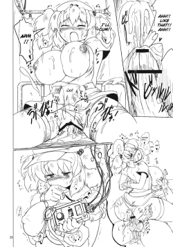 Page 28 of Nitorin H 2