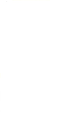 Page 3 of Konya wa Dorei DE Night