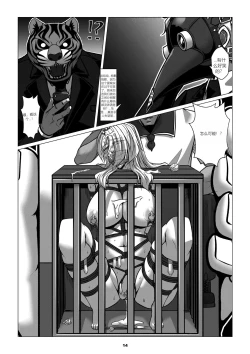 Page 16 of RENQUE S2.4