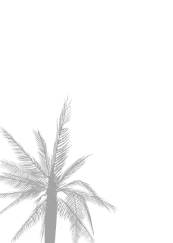 Page 250 of NTR THE MIDNIGHT POOL Soushuuhen DX