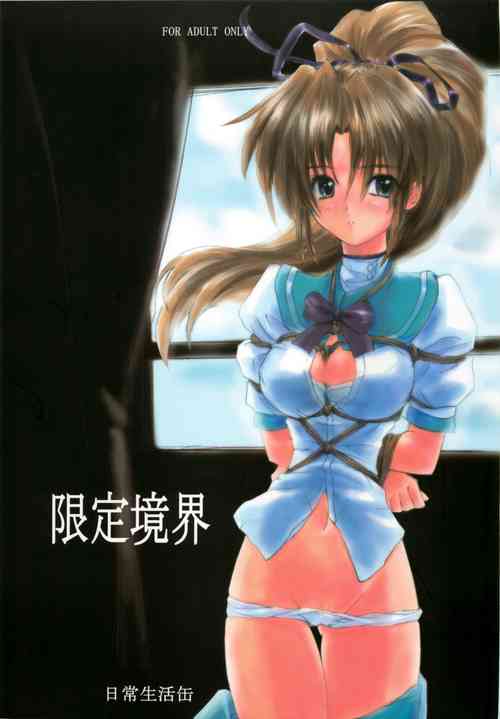 Download 限定境界