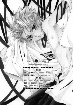 Page 4 of AISIRO Soushuuhen II