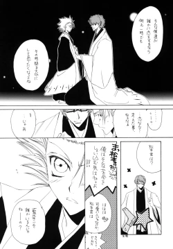 Page 21 of AISIRO Soushuuhen I