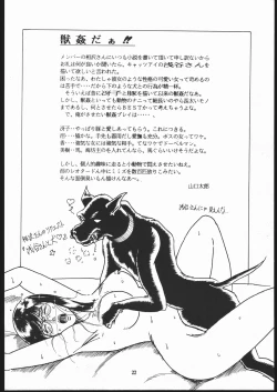 Page 23 of Sae Superdry II