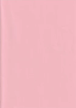 Page 2 of Cherry on the Cake