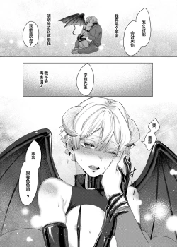 Page 27 of Jitsuwa “Succubus ♂ Deshita” nante Ieru Wake Nakunai!?