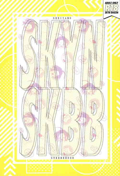 Download SKYNSKBB