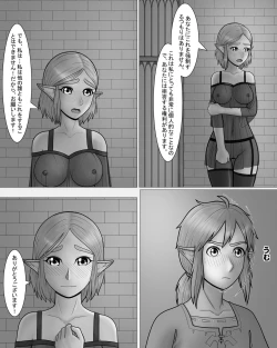 Page 7 of Zeruda no Densetsu: Purinsesu to Sugosu Yoru