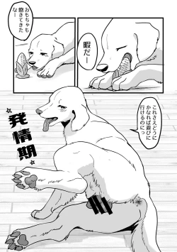 Page 2 of Hatsujouki