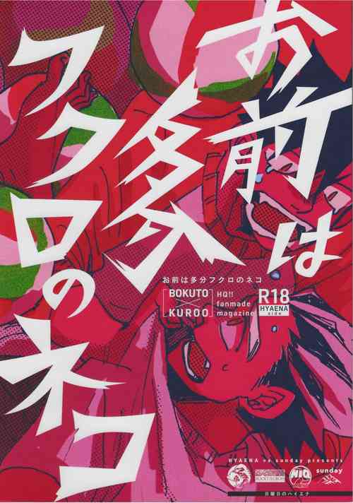 Download 「Hyaena、Sunday」Maybe You Are The Cat In The Paper Bag | 你大概是纸袋里的猫