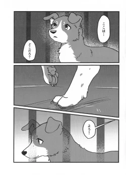 Page 2 of DOG.IN.CAGE The best in corn