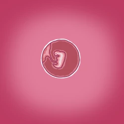 Page 16 of Yumi's Study Abroad/由美的留学生活（汉化）（连载中）