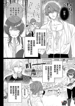 Page 12 of ai ga omoi kishi koushaku ha、tuihou reijou no subete wo ubai tukushitai。 | 爱得太深沉的骑士公爵，想要夺得流放千金的一切。 22