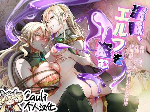 Download Touzoku, Elf o Nusumu