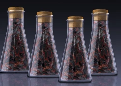 Page 242 of The work of the Insect Detective