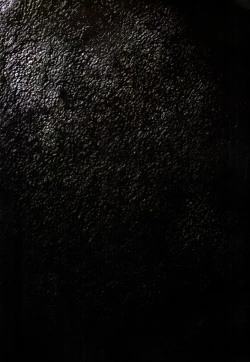 Page 17 of 【寺田克也】西游奇传大猿王一卷