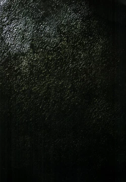 Page 27 of 【寺田克也】西游奇传大猿王一卷