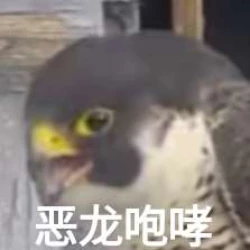 Page 1 of 宇智波鼬x漩涡鸣人