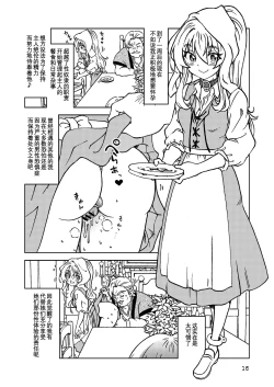 Page 17 of Tabitabi Nikki ni wa Shirusenakatta Koto. 5
