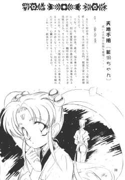 Page 38 of Tenchi Damashii