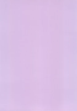 Page 4 of Iza Jinjou ni Shoubu!